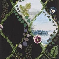 Coup de Vent Histoires Naturelles