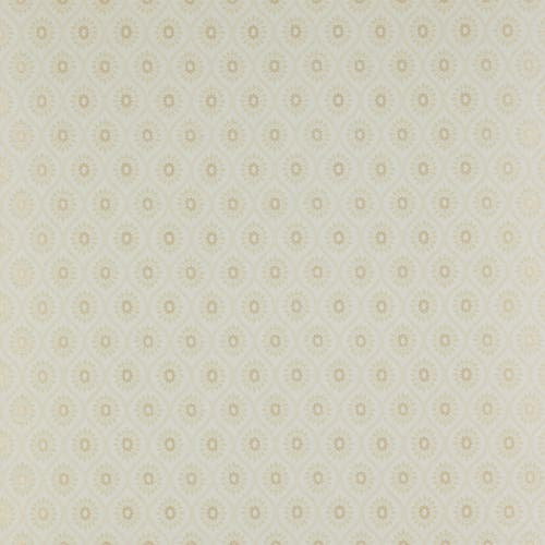 Colefax and Fowler - Brightwell Gold/Cream