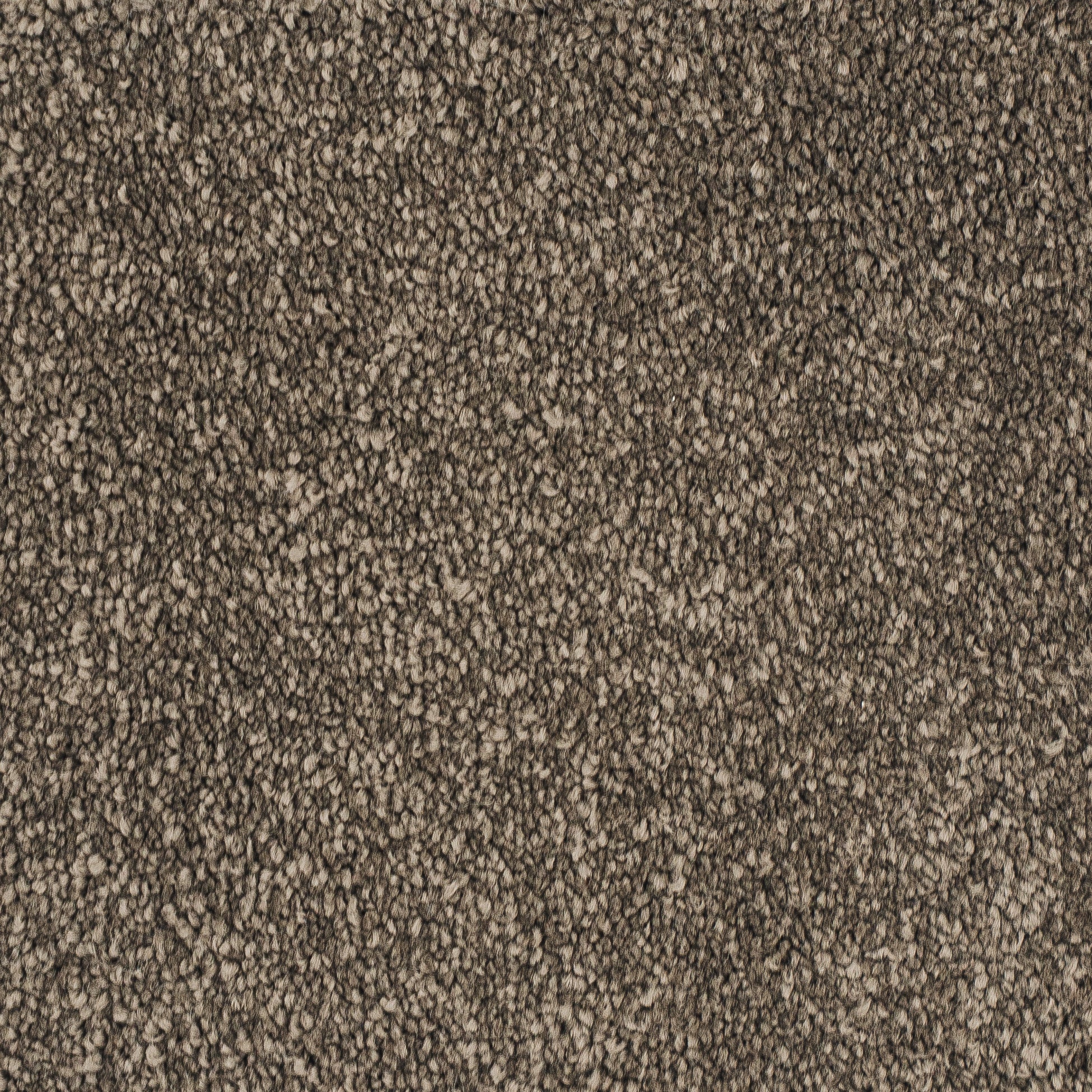 Euphoria Choklad 47 - Kjellbergs Textilgolv