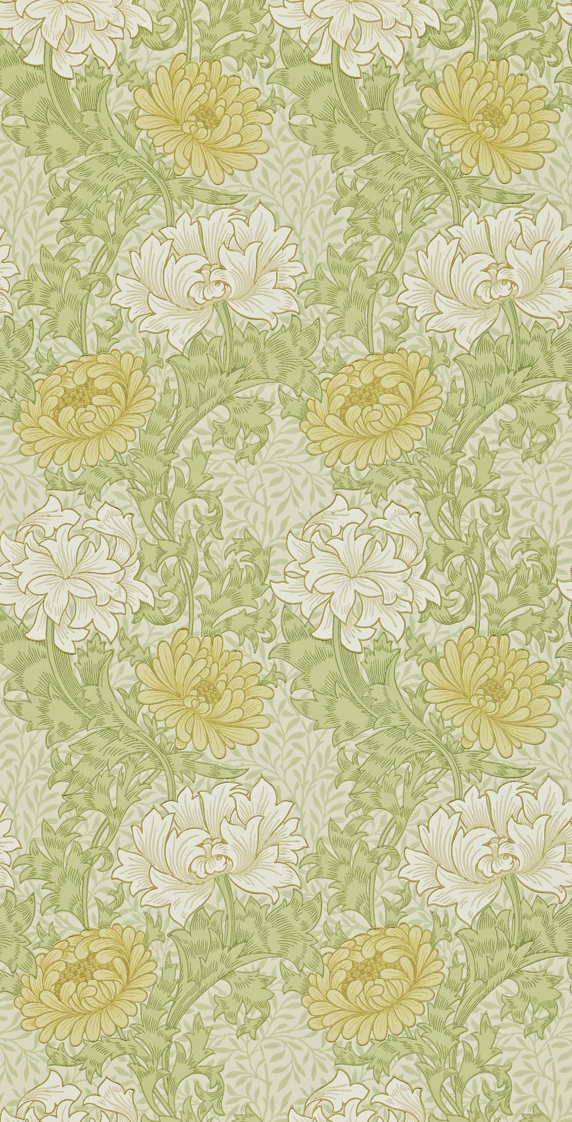 Morris & Co - Chrysanthemum Pale Olive Archive II Wallpapers