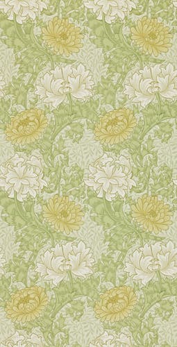 Morris & Co - Chrysanthemum Pale Olive Archive II Wallpapers