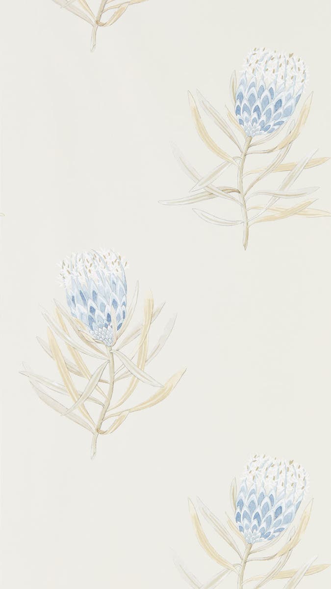 Protea Flower China Blue/Canvas