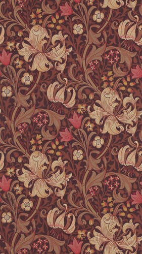 Morris & Co - Golden Lily Fig/Burnt Ora Morris and Friends Wallpa