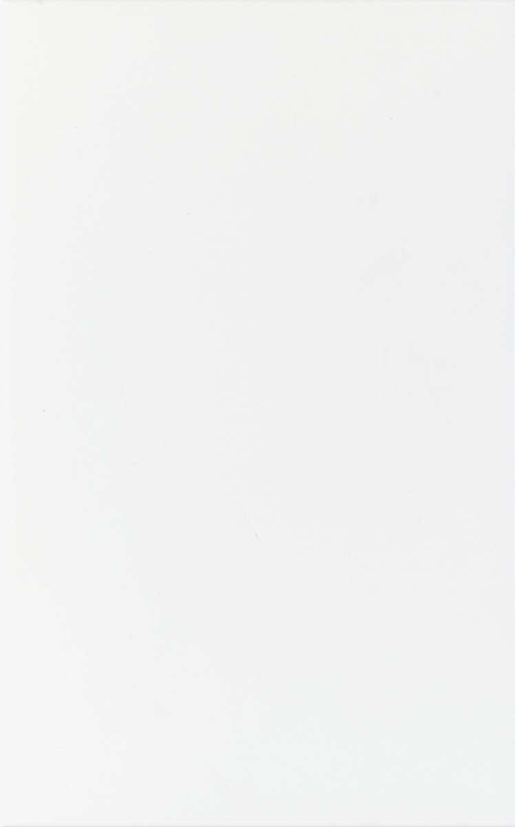 Fokus projekt Vit matt 25x40