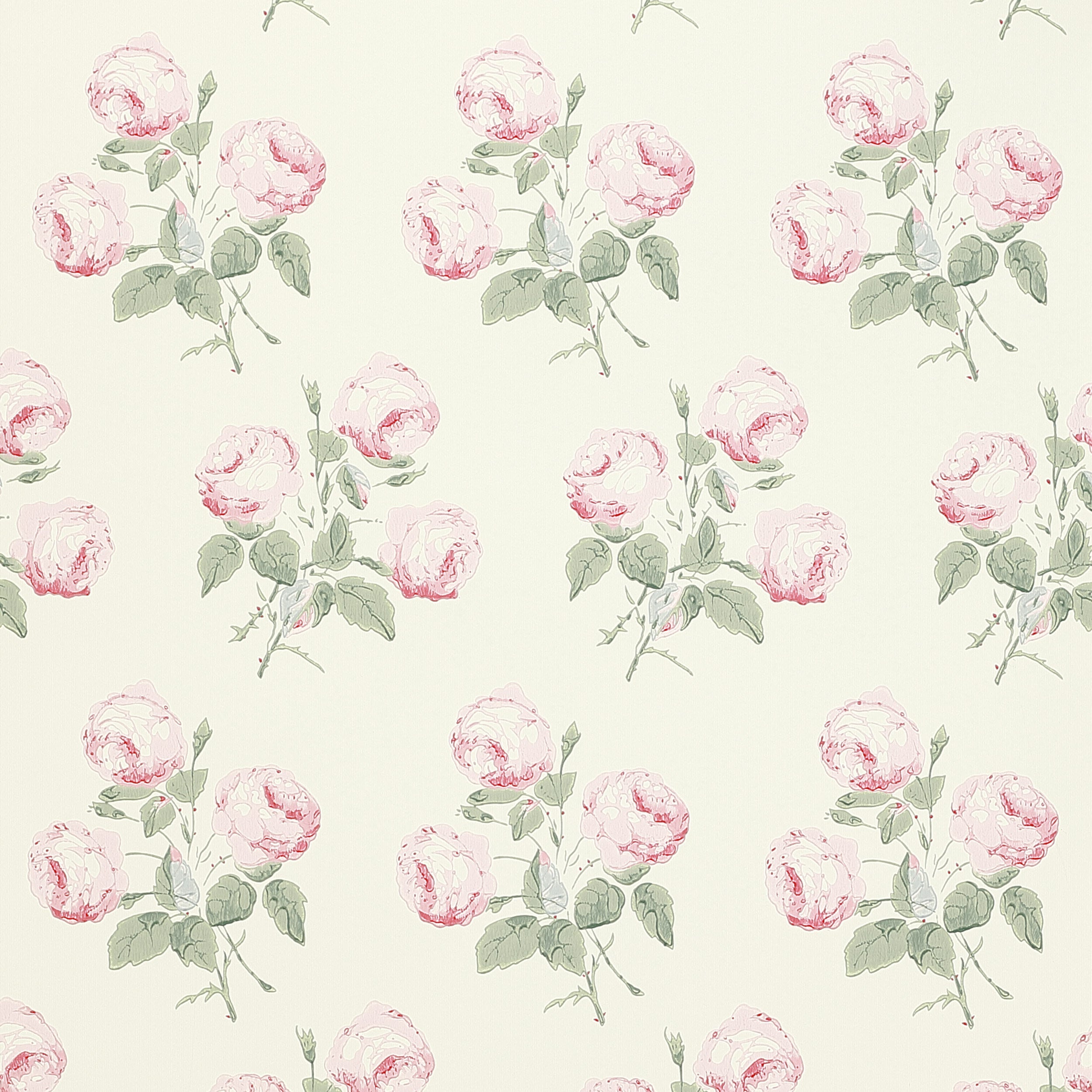 Colefax and Fowler - Bowood Pink/Leaf