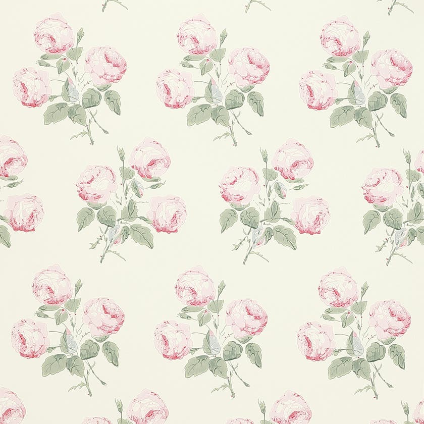 Colefax and Fowler - Bowood Pink/Leaf