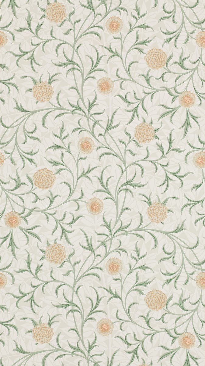 Scroll Thyme/Pear Morris 160th Anniversary