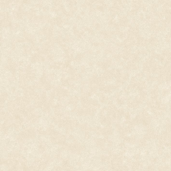 Caselio - Uni Mat Coquille Doeuf Ceramique