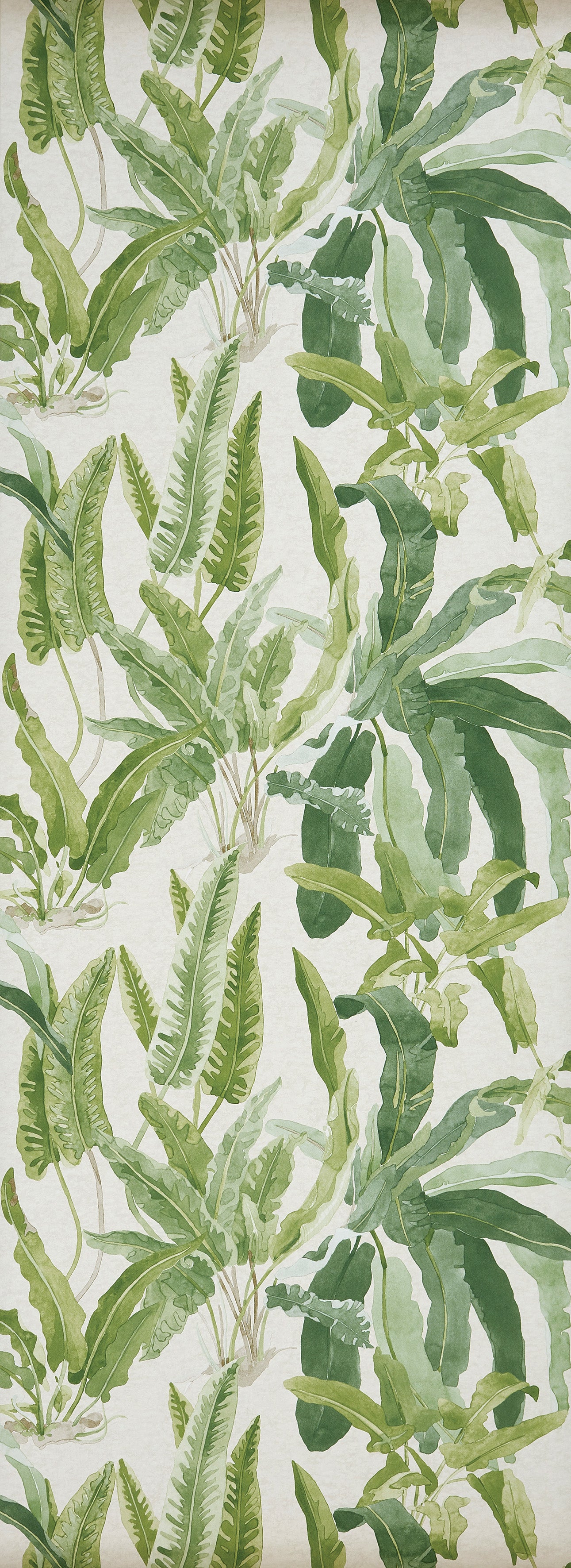 Nina Campbell - Benmore Nc Ashdown Benmore Green/