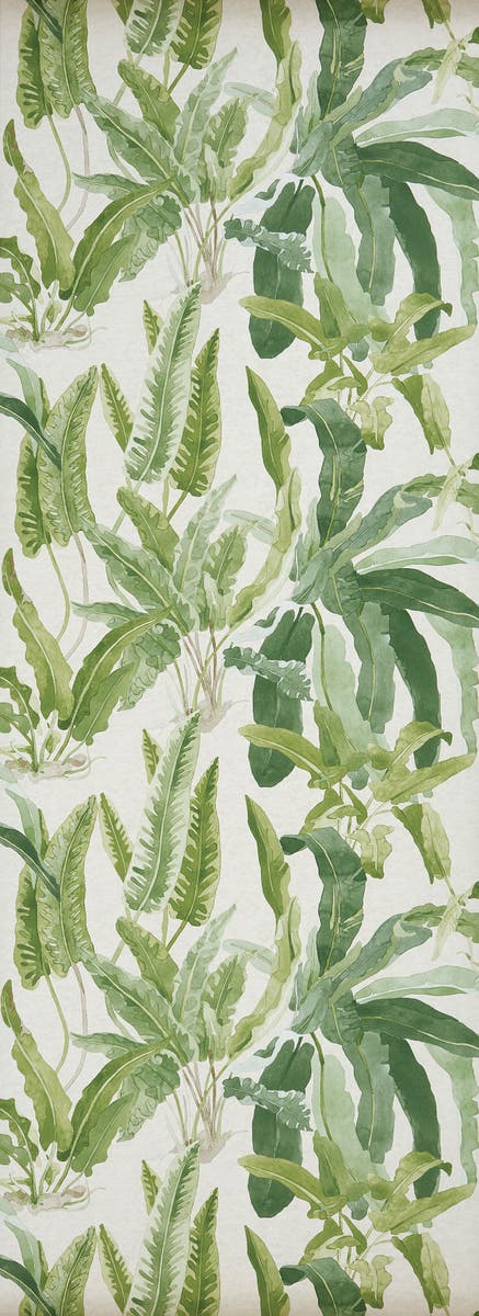 Nina Campbell - Benmore Nc Ashdown Benmore Green/