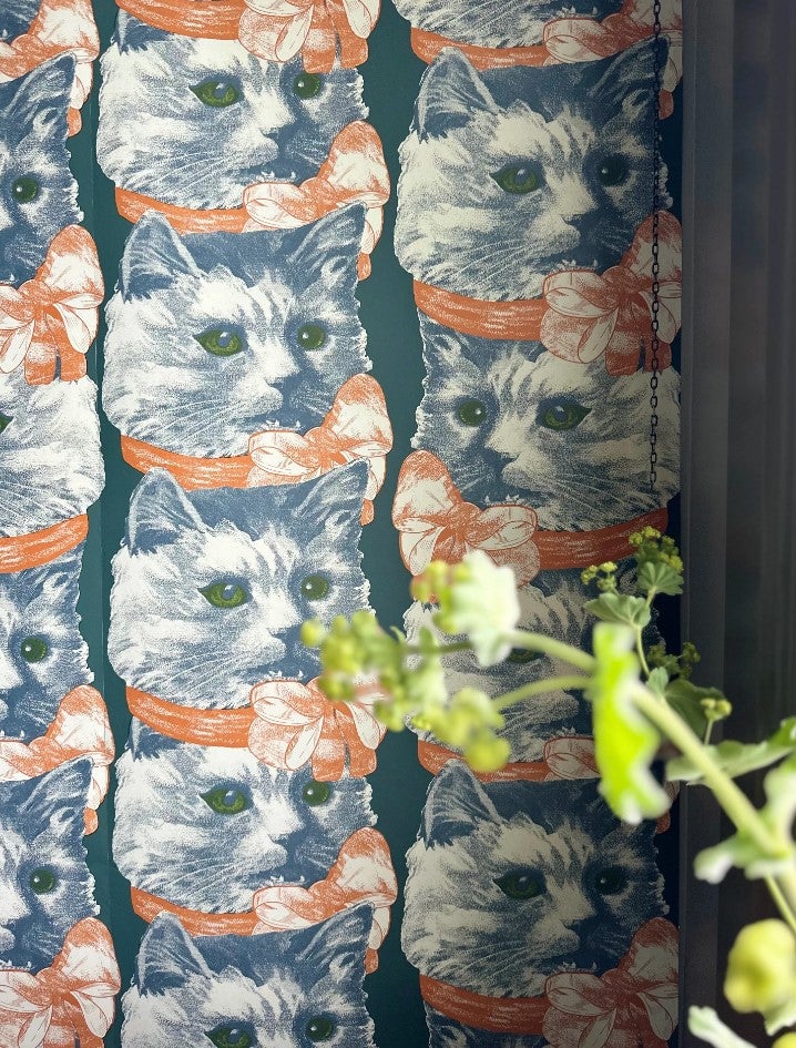 Crazy Cat Lady LB1702