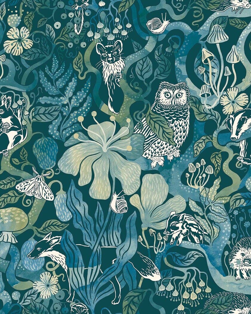 Fairyland Magic Woods