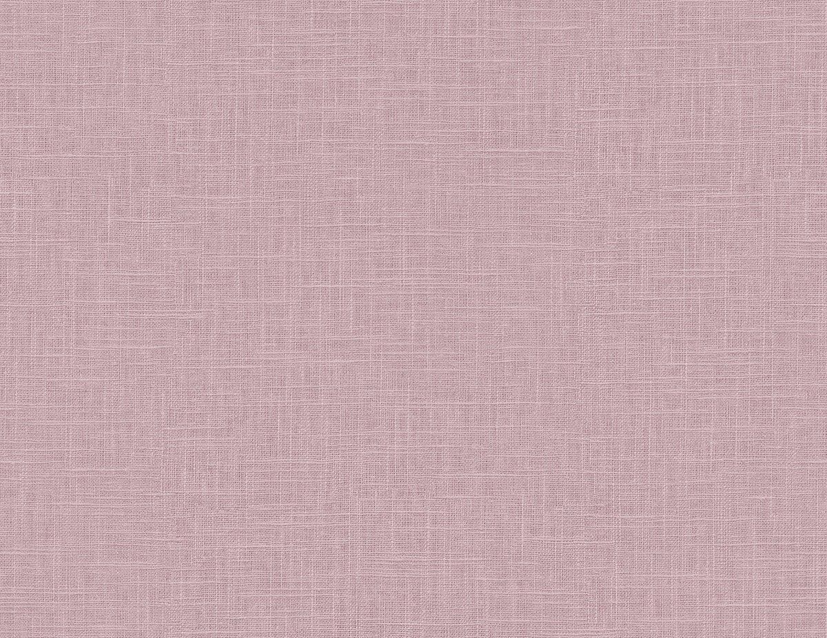 Intrade - Boho Rhapsody