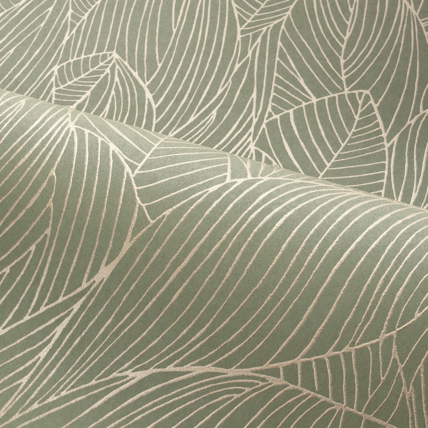 Casamance - Hosta Sauge/Doré Jardin Félicia