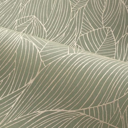 Casamance - Hosta Sauge/Doré Jardin Félicia