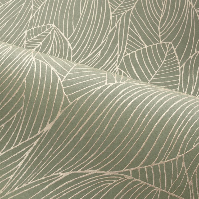 Casamance - Hosta Sauge/Doré Jardin Félicia