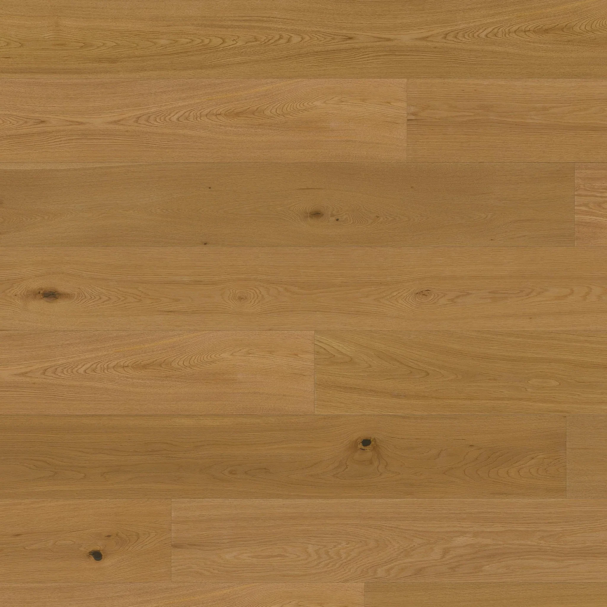 Barth EK Noblesse XL