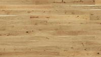 Smart | Ek Plank XT
