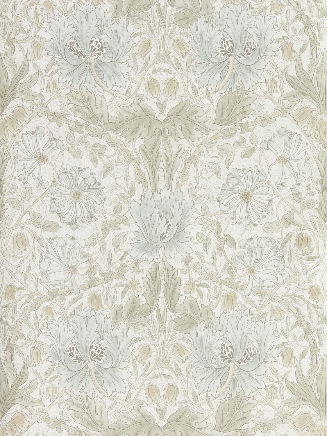 Morris & Co - Pure Honeysuckle & Tulip Pure Morris North Wallpap