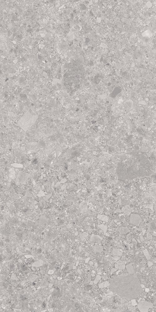 Ceppo Design Grey 60x120 såg