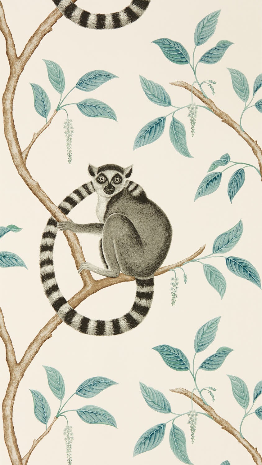 Sanderson - Ringtailed Lemur Ringtail Glasshouse Wallpapers