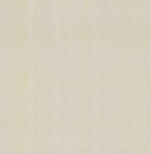 Carma - Carla NW Camellia