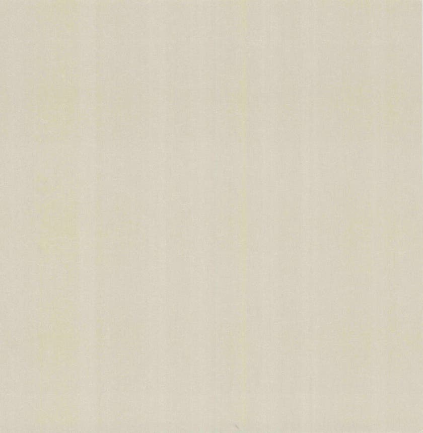 Carma - Carla NW Camellia