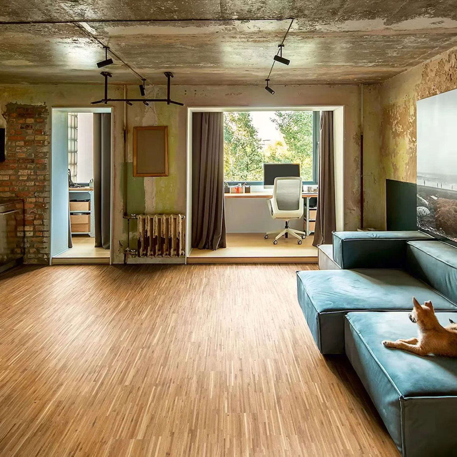 Ek XS Borstad Naturolja