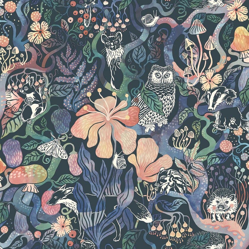 Fairyland Magic Woods