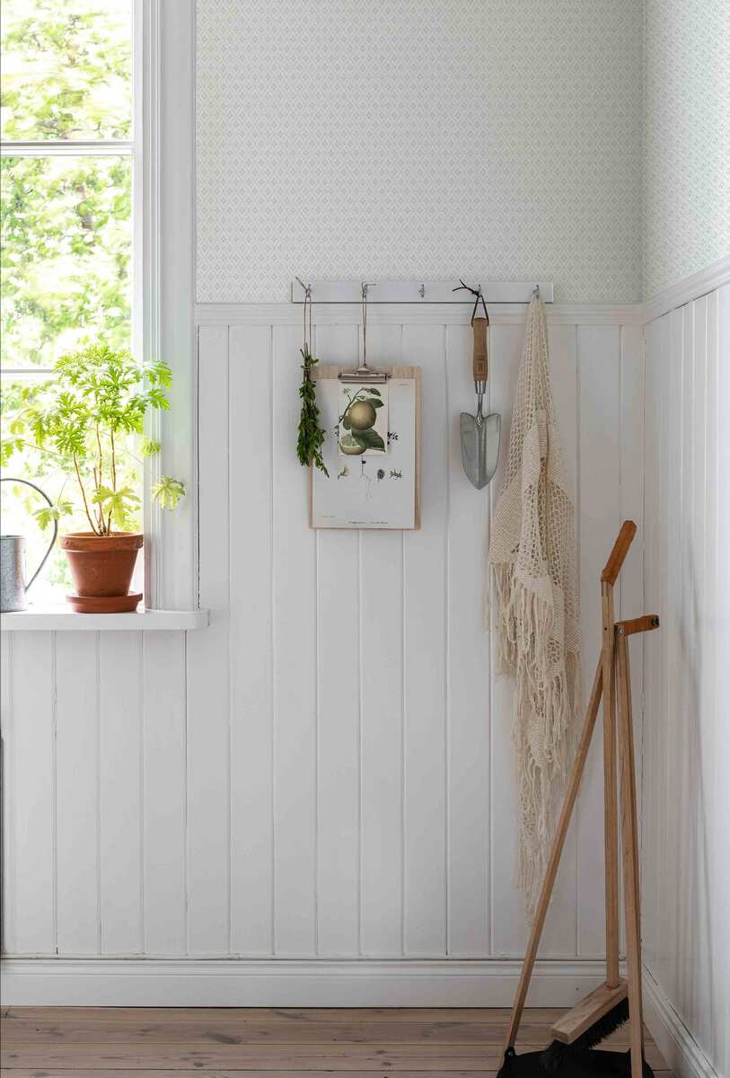 Lillstjärna, Vit Blommor&Blad