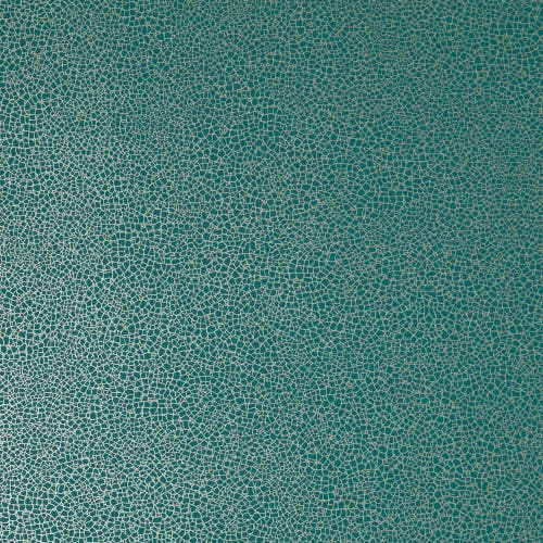 Carma - Emile NW Elodie