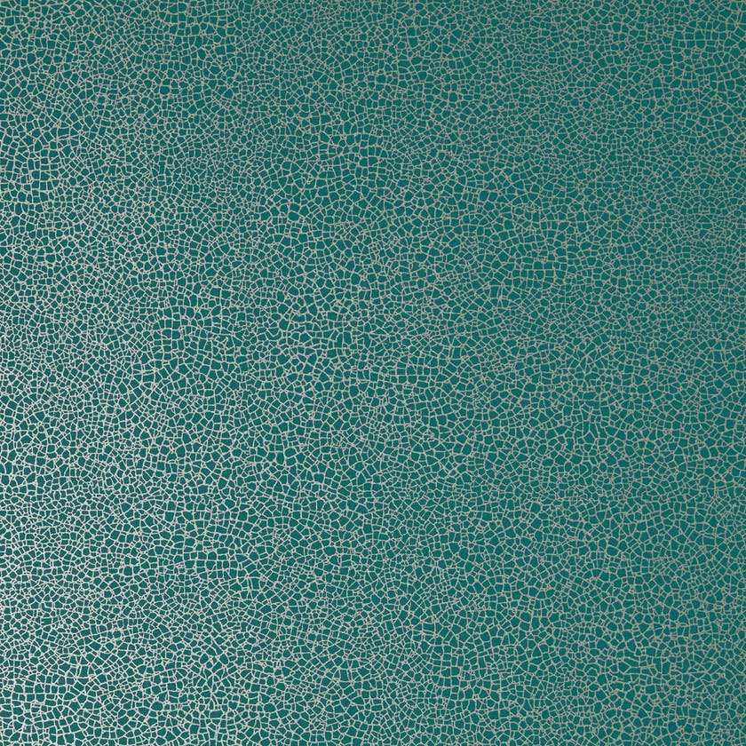 Carma - Emile NW Elodie