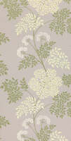 Sanderson - Cowparsley Amethyst Sanderson One Sixty Wallp