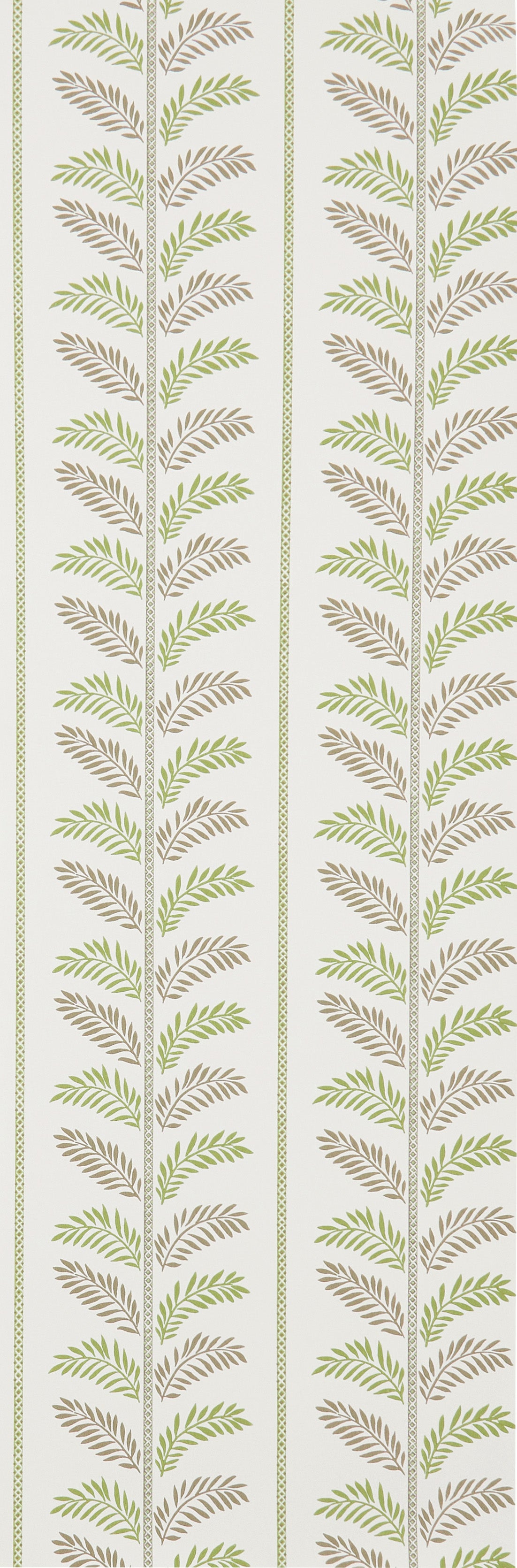 Nina Campbell - Plumier Nc Signature Plumier Gree