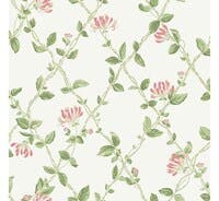 Honeysuckle - Marstrand II