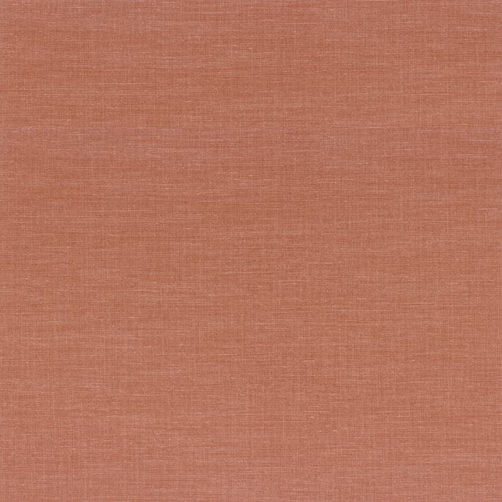 SHINOK CORAIL LE LIN 3