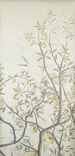 Manuel Canovas - La Voliere Laurier