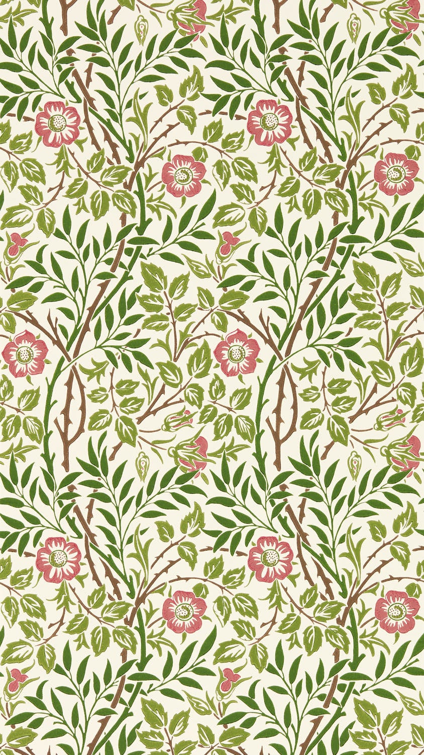 Morris & Co - Sweet Briar Boughs/Rose Morris and Friends Wallpa