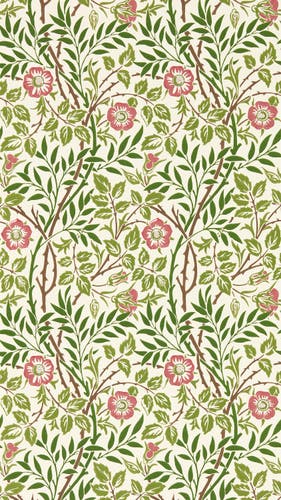 Morris & Co - Sweet Briar Boughs/Rose Morris and Friends Wallpa