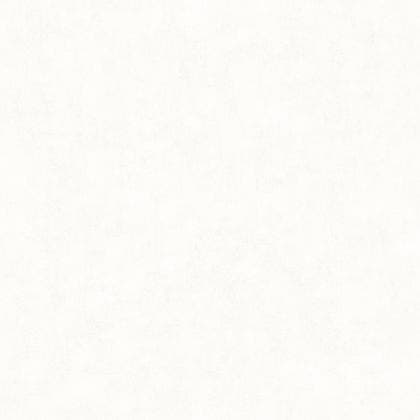 Caselio - Beton Uni Blanc Beton 2