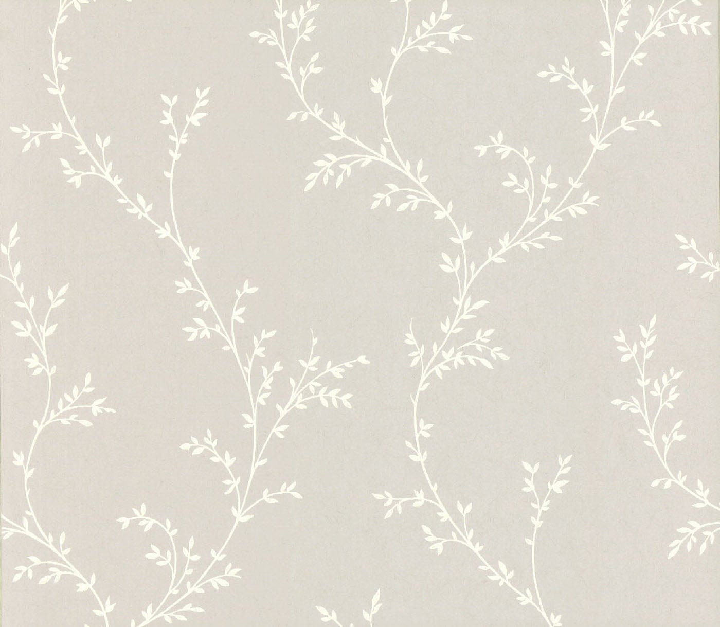 Carma - Milton, NW Rosemore