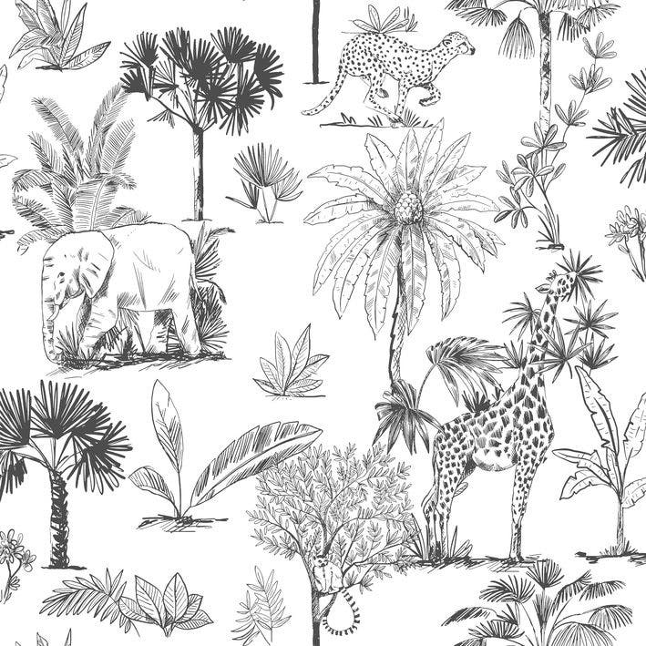 BALADE DANS LA SAVANE NOI LES MINI MONDES