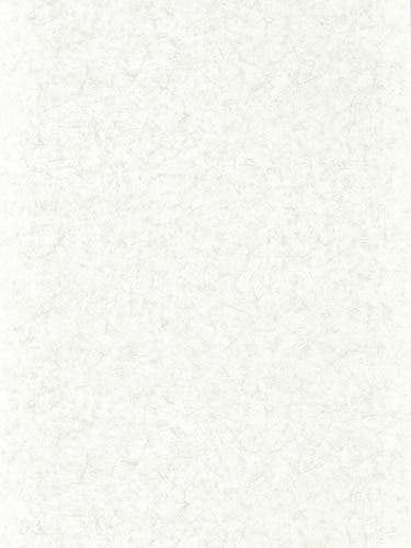 Zoffany - Ajanta Perfect White Folio