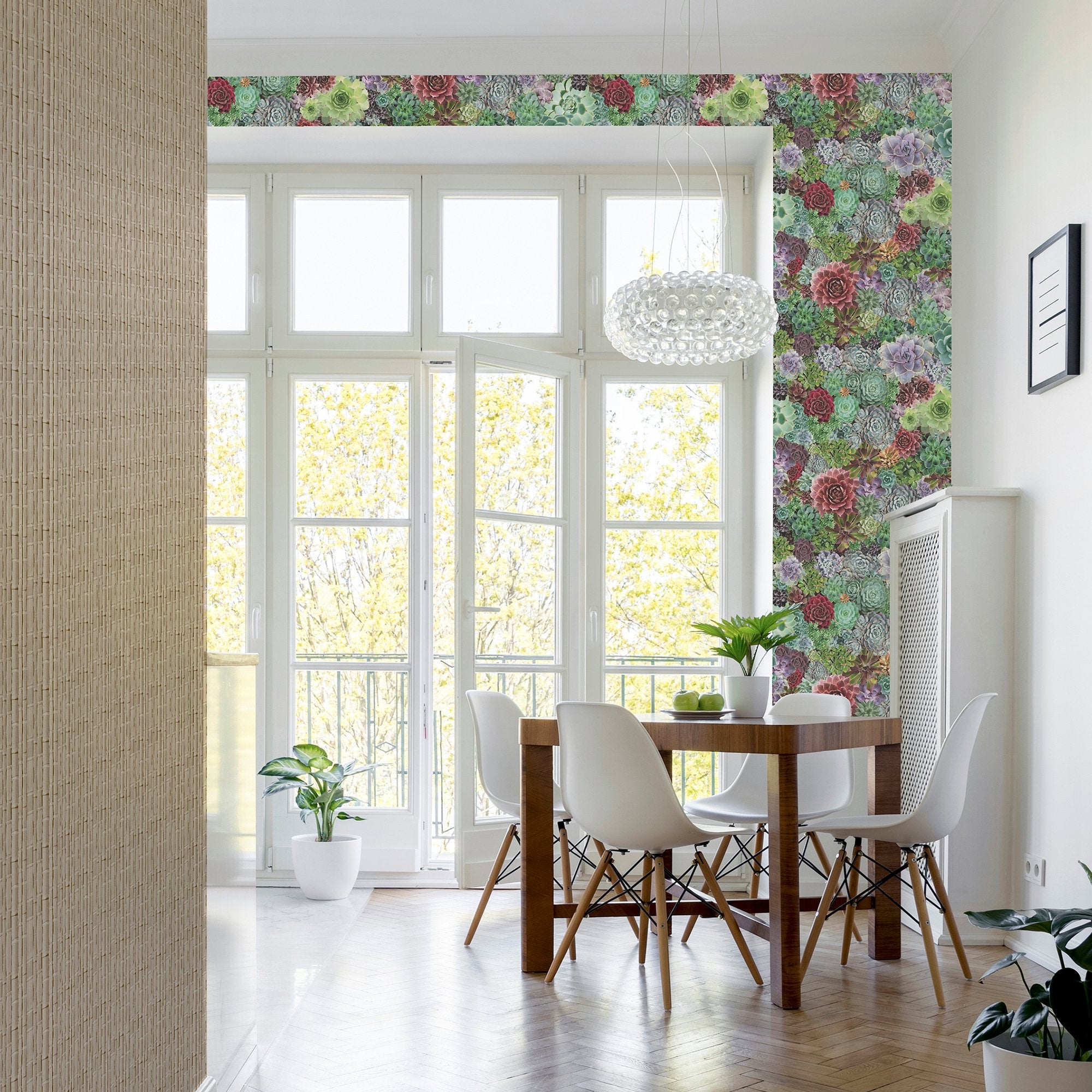Succulent Living Wall Multi