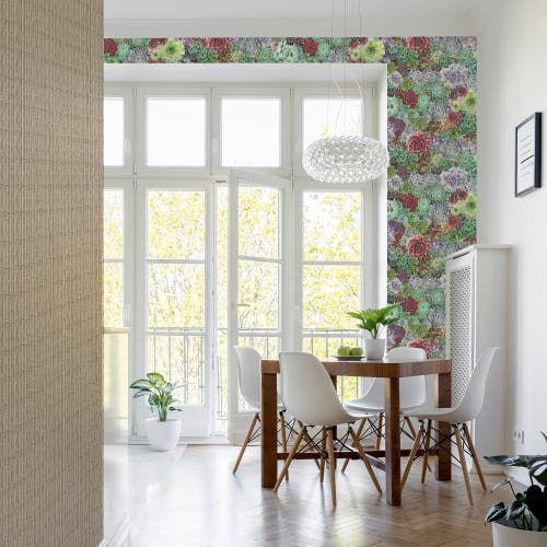 Succulent Living Wall Multi