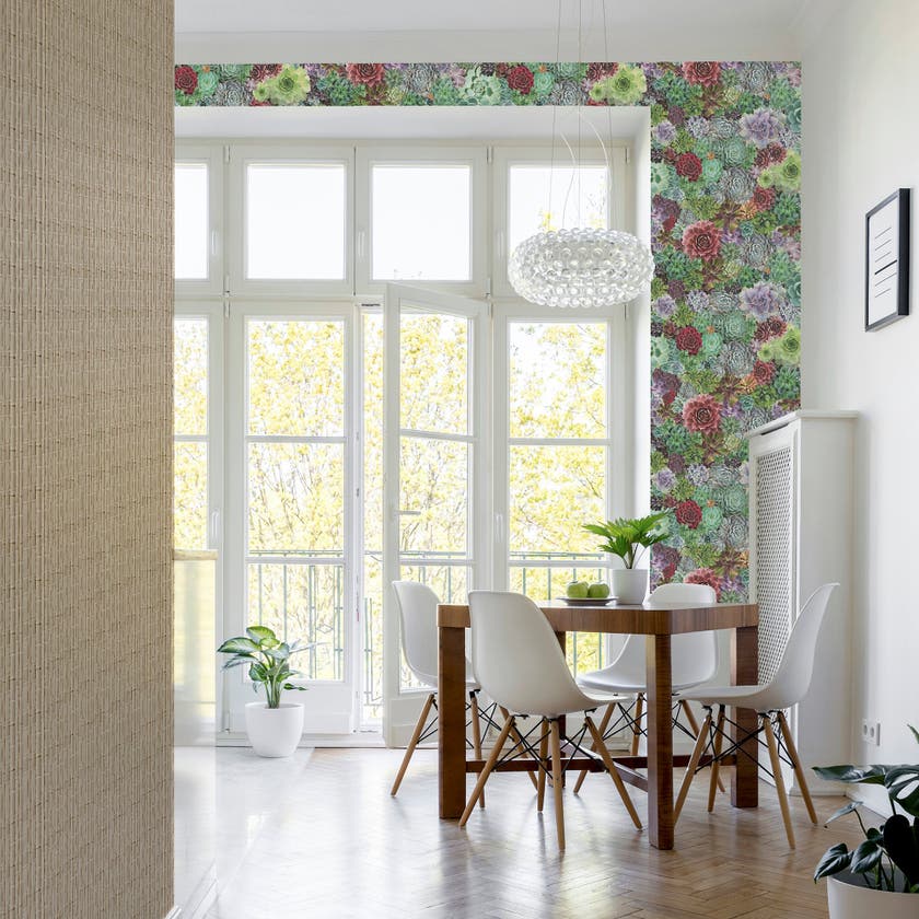 Succulent Living Wall Multi