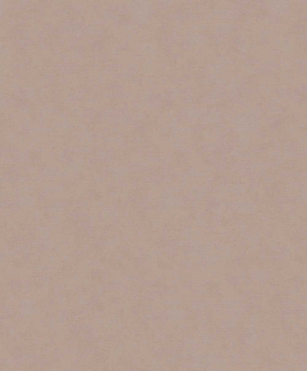 Carma - Shades