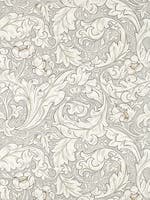 Pure Bachelors Button Sto Morris Pure Wallpapers