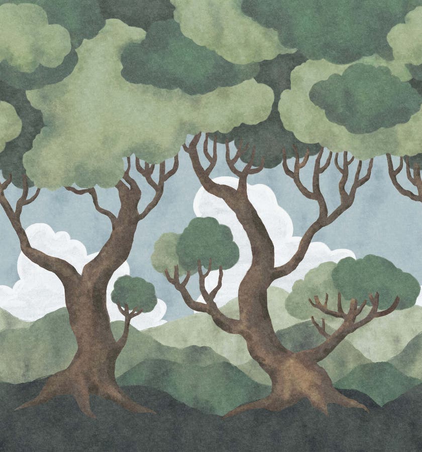 Boråstapeter - In the Forest