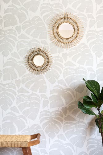 Midbec Tapeter - Guatemala Ghost